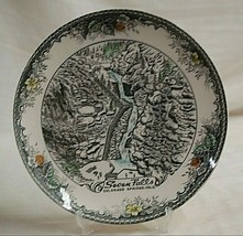 Seven Falls Souvenir Ceramic Plate Colorado Springs Colo. Detail Vintage - £15.49 GBP