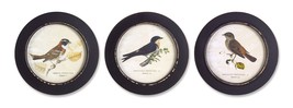 Framed Bird Print (Set of 3) 9.5&quot;D MDF - £47.25 GBP