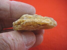 (k-3515) 15 g Rare Kauri tree Gum copal young Amber New Zealand Tane Mahuta - €10,73 EUR