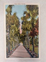 Vintage Postcard Palm Walk Florida Made in USA - £7.65 GBP