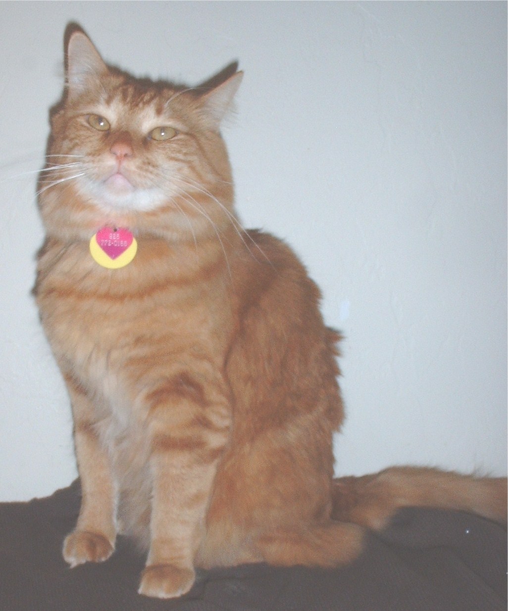 Item image 7