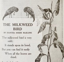 1917 The Milkweed Bird Poem Diantha Horne Marlowe Art Antique Ephemera L... - $19.99