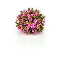biOrb Topiary Ball, Pink  - $25.00