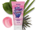 Perfectly Posh - Posh to Meet You Face Mask New &amp; Sealed - $11.99