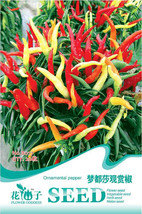 Capsicum Med Ornamental Pepper Seeds 20 Seeds Sweet Chili Pepper Bright Colors # - $10.78