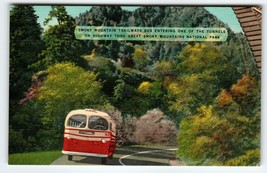 Smokey Mountain Trailways Bus Enters Tunnel North Carolina Linen Postcard - £12.33 GBP