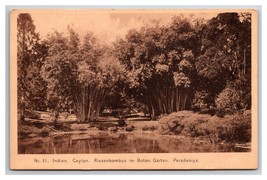 Royal Botanical Gardens Peradeniya Kandy Ceylon Sri Lanka UNP DB Postcar... - $5.89