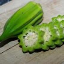  25  Okra Seeds &quot;Star Of David&quot; Old Fashioned BIG OKRA Vegetable HEIRLOOM  - £6.93 GBP