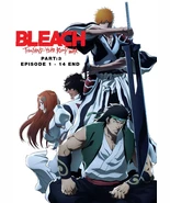 Bleach: Thousand-Year Blood War - The Conflict Part 3 DVD [English Audio][Anime] - $23.99