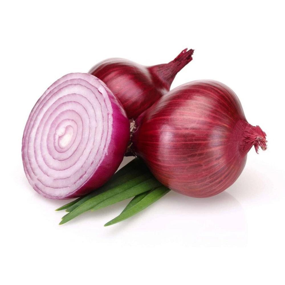 500+ Bermuda Onion Seeds | Sweet White Heirloom Bulb Variety - $16.50