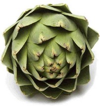 75 Green Globe Artichoke Cynara Scolymus Vegetable Seeds - £4.98 GBP