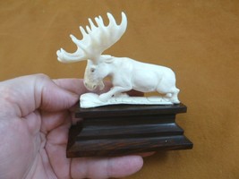 moose-21 white Moose Elk bull running shed ANTLER figurine Bali detailed... - £54.85 GBP