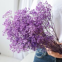 Dried Flowers Babys Breath Bouquet 17.2 inch 2500 Flowers Natural Gypsop... - $36.37