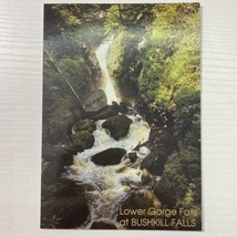 Postcard - Lower Gorge Falls at Bushkill Falls - Bushkill, Pennsylvania - £3.04 GBP
