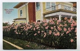 Rose Hedge at House in Portland Oregon Postcard 1900&#39;s - £7.91 GBP