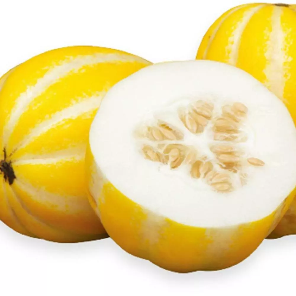 20 Organic Korean Golden Sweet Melon Seeds Fresh Seeds - £8.68 GBP