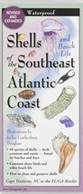 Shells of the Southeast Atlantic Coast: Folding Guide (Foldingguides) [P... - $11.35