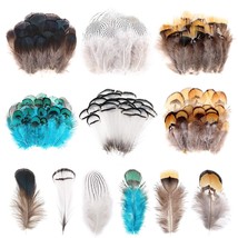 6 Styles Assorted Crafts Feathers, 120Pcs Diy Dreamcatcher Crafts Art De... - £20.32 GBP