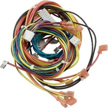 Raypak 009490F Wire Harness for Electronic IID Heater - $148.07