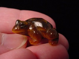(y-fro-500) FROG CARVING TIGEREYE brown gem stone gemstone figurine 1&quot; f... - £6.75 GBP