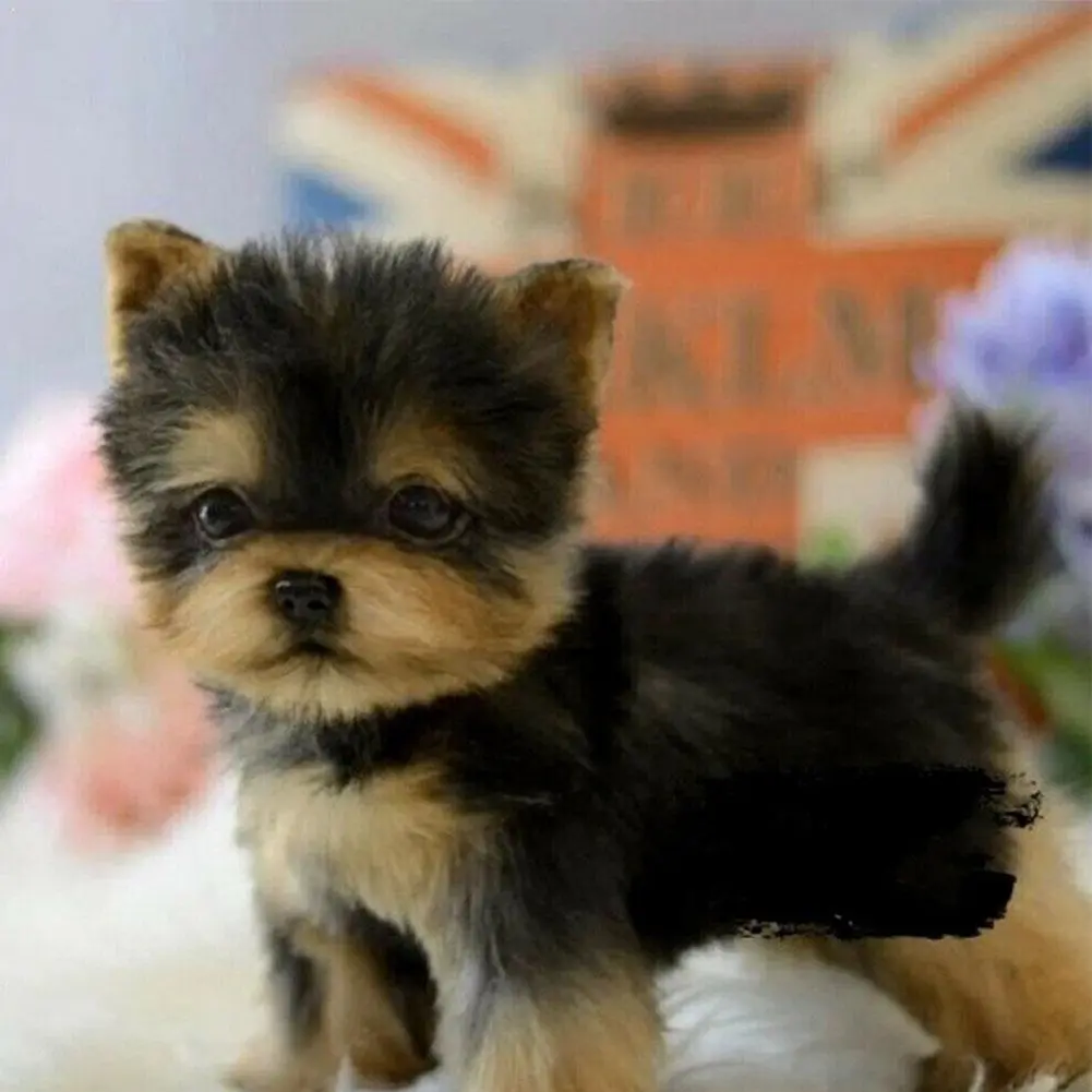 Kawaii Yorkie Dog Puppy Stuffed Teddy Dog Plush Toy Cute Dolls Kids For Children - £23.64 GBP