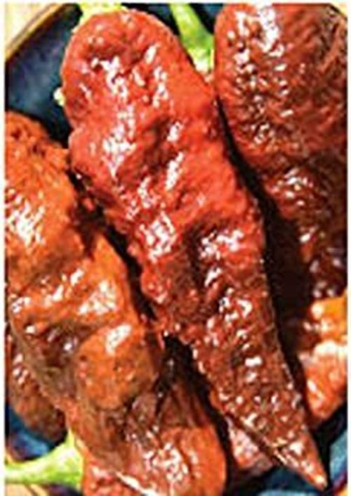 PM Bhut Jolokia Ghost Hot Peppers (Chocolate) Seeds (20+ Seeds) | Non GM... - $3.98