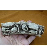 (crab-6) pair of small shore Crab of shed ANTLER figurine Bali detailed ... - £170.56 GBP