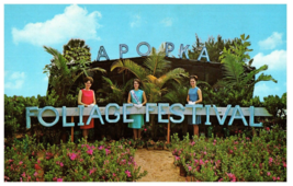 Gateway to Apopka Floridas 1965 Foliage Festival Florida Postcard - £28.84 GBP