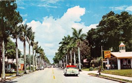 Bradenton Florida Stately Royal Palms Line 14th St~Tamiami Trail Postcard 1960 - £4.44 GBP
