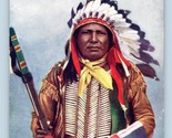 Chief Eagle Track Raphael Tuck Native American 2171 UNP DB Postcard N10 - $14.80