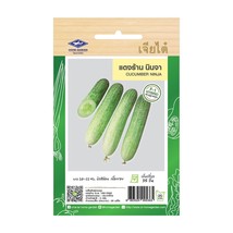Cucumber Ninja Seeds Home Garden Asian Fresh Vegetable The Best Thai Seeds - $7.99