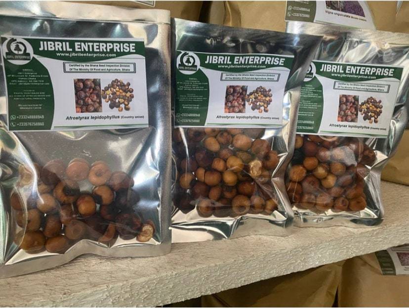 Country onion, Afrostyrax lepidophyllus, 50g/10 USD, shipping is 10 USD, phyto c Item image 6
