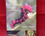 Caterpillars of Eastern North America - Identification &amp; History Guide B... - $19.75