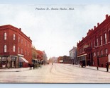 Pipestone Street View Benton Harbor Michigan MI UNP DB Postcard Q6 - $9.85