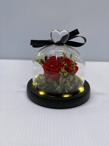 Forever Roses Preserved Real Flowers Eternal Enchanted Rose Flower Box - $35.00