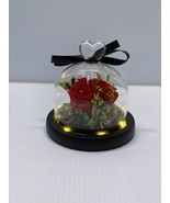 Forever Roses Preserved Real Flowers Eternal Enchanted Rose Flower Box - $47.90 CAD