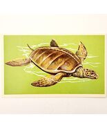 1975 ARCHELON Dinosaur Card Vintage Prehistoric Turtle Illustration Ephe... - $454.76 MXN