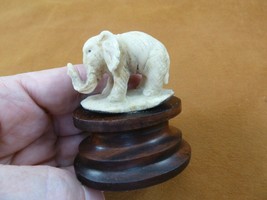 tb-ele-29) lucky Elephant Tagua NUT palm figurine Bali carving safari zoo circus - £33.68 GBP