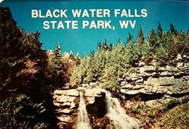 Blackwater Falls State Park WV Mini Postcard Magnet - £4.71 GBP