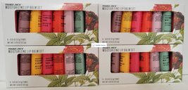 Trader Joe&#39;s Moisturizing Lip Balm 6 Tubes Set 0.78oz 22.2g (Four Boxes) - $63.65