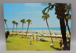 Daytona Beach Curt Teich Large Format Color Post Card FL Cars 50&#39;s or 60&#39;s - $7.71