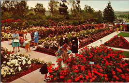Pageant of Roses Garden Rose Hills Memorial Park Whittier California Postcard - £4.39 GBP
