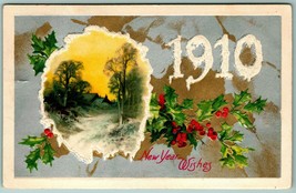 1910 New Year Wishes Icicles Cabin Scene Embossed Winsch Back DB Postcard G12 - £3.91 GBP