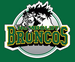 Humboldt Broncos Junior Hockey Embroidered Hooded Sweatshirt S-5XL, LT-4XLT New - £23.50 GBP+