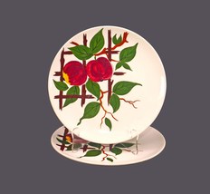 Pair of William Adams Orchard Grove luncheon plates. Titian Ware made in England - £98.78 GBP