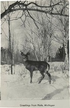 Vintage Post Card, Greetings from Hale, Michigan, buck, 1951 - £7.90 GBP