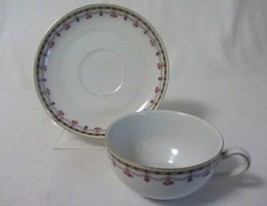 H &amp; G Selb Bavaria Germany Rose Swag #9703 Palace Cup &amp; Saucer - £8.21 GBP