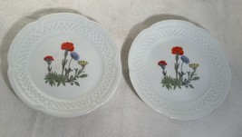 2 Berry Haute Louis Lourioux Porcelaine France Wild Flower Canape Plates... - £11.67 GBP