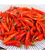 LKS Sichuan Szechuan Chinese Chili Pepper Seeds 30 Organic Very Spicy Ho... - $225.55 MXN