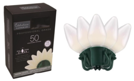 Christmas String Light C7 Opaque LED 50-ct 25&#39; Warm White, Celebrations ... - $17.81